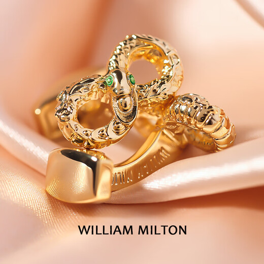 WILLIAM MILTON Infinity symbol spirit snake holding gold cufflinks men's high-end accessories cuff nail gift spirit snake holding gold