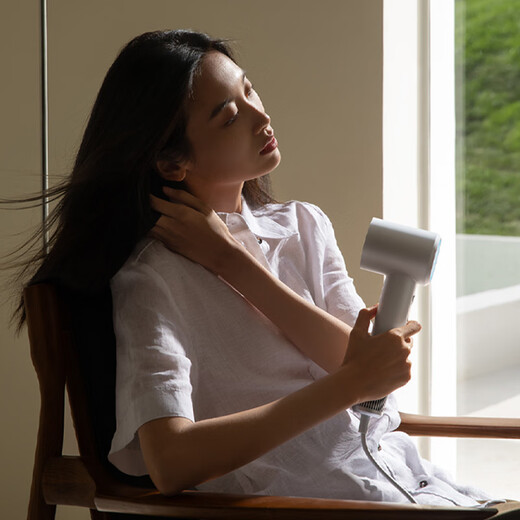 Mijia High Speed Hair Dryer H501 Xiaomi Official Flagship Store Negative Ion Hair Dryer National Subsidy Home Hair Dryer Recommended as a Birthday Gift for Girlfriend Morino Green