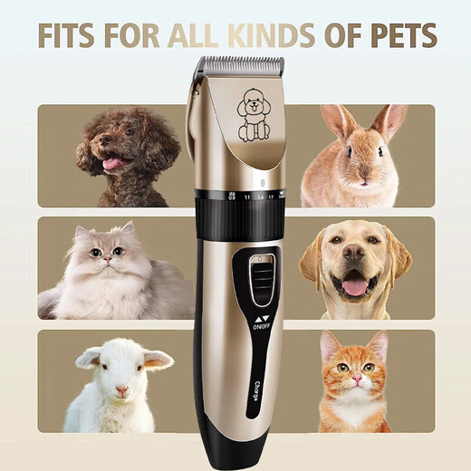 Pet hair clipper, dog and cat hair clipper, Teddy shearing special beauty high-power hair pusher, standard + spare blade