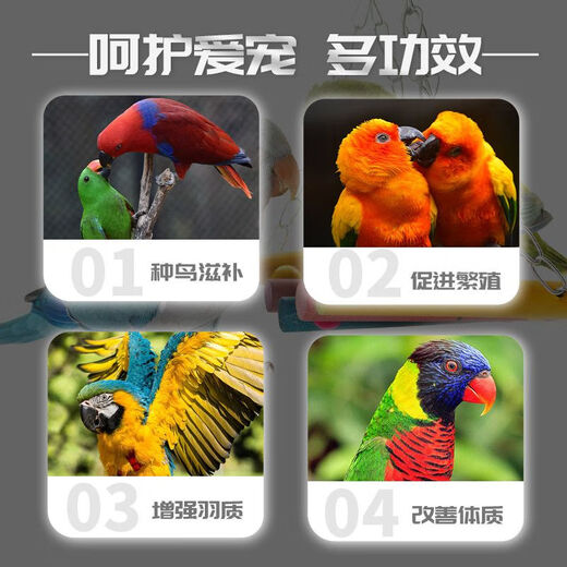 Special premix for Chaoge bird feed, bird feed nutritional powder, amino acid feathers, beautiful and bright hair hair aid powder, Chaoge bird premix 500g/barrel