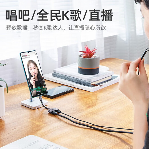 Green Link Dual Type-C Adapter Headphone Charging Two-in-One Adapter Suitable for Huawei, Xiaomi, Honor, Samsung Mobile Phones, iPad Tablets, Fast Charging, No Hotness, High Definition Sound Quality