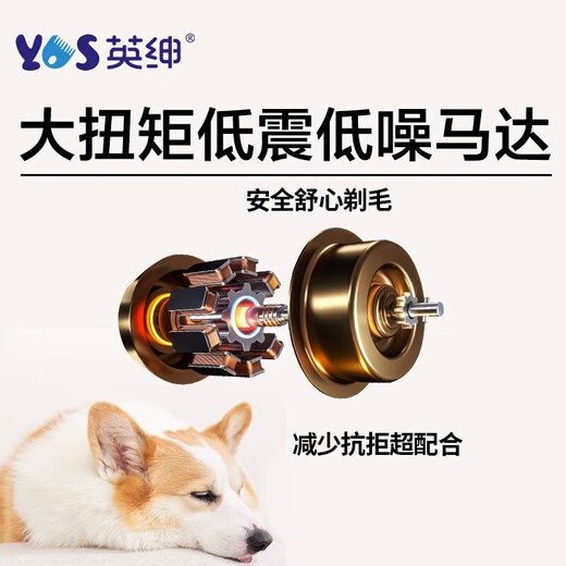 Yingshen dog shaver pet electric clipper Teddy Bichon Corgi Alaskan Samoyed electric clipper 9870