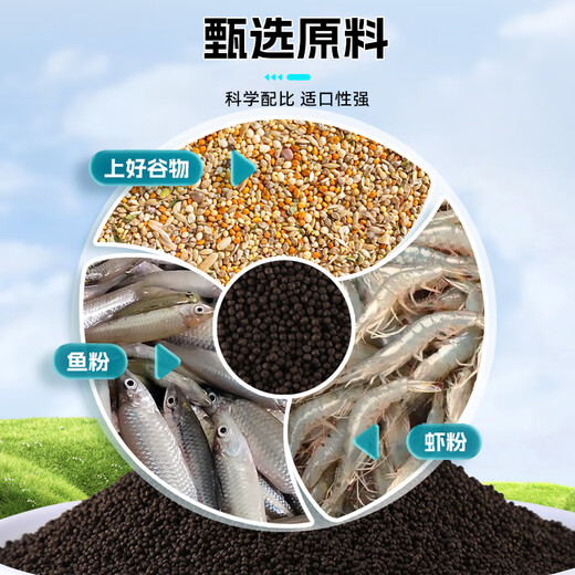 Fishing King's new product, pool battle bubble ball bait, black pit special fishing carp and crucian carp food, cannon, nesting material, granular bait, 2 packs of bubble balls + 1 bottle of concentrated corn medicine