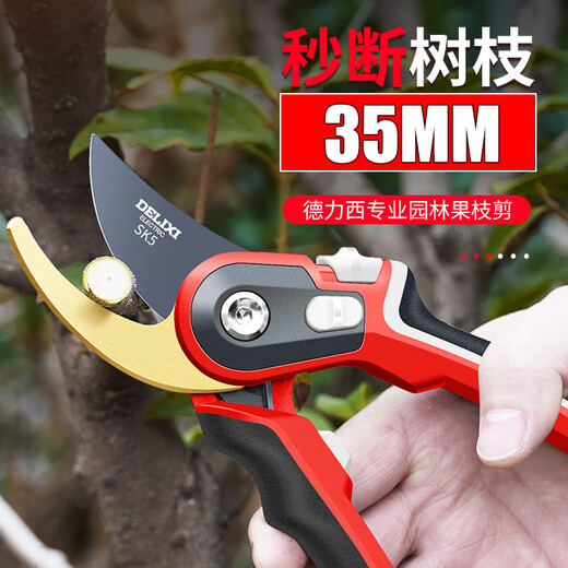 Delixi gardening fruit tree pruning shears garden branch pruning pruning pruning flower shears pruning branches special scissors