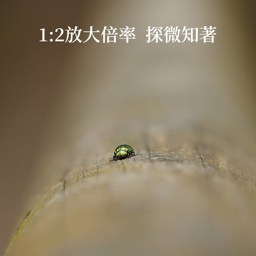 SIGMA 20-200mm F3.5-6.3 DG Contemporary full-frame mirrorless camera mount head, one lens to travel the world, travel scenery, telephoto large zoom lens, L mount, official standard, main picture accessories + multiple gifts