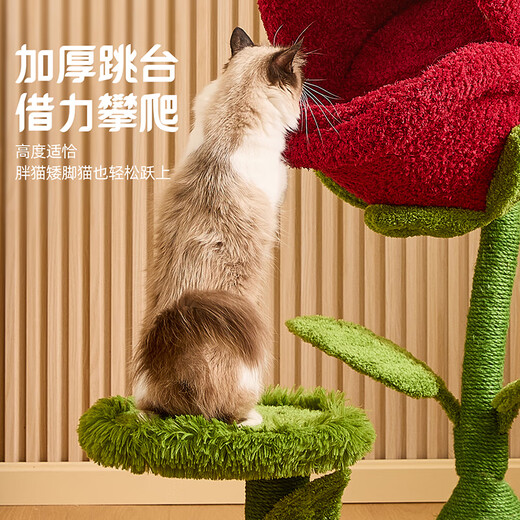 Meow Tree Warm Winter Velvet Cloth Piranha Cat Climbing Frame Small Nest Cat Scratching Board One-piece Cat Nest Universal for All Seasons Closed and Comfortable Piranha Cat Climbing Frame