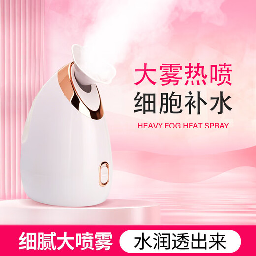 Hot spray facial steamer to hydrate and moisturize, household facial steamer, beauty instrument, delicate spray machine, facial humidifier, nano spray to hydrate, girlfriend and elders Christmas gift 904 white