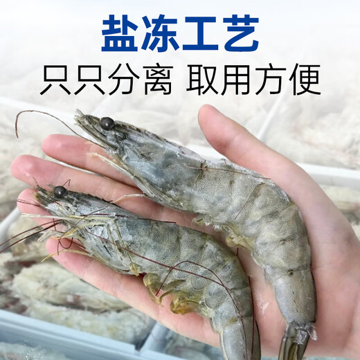 Linglue Qingdao Salted Frozen Prawns Net Weight 3Jin Jin is equal to 0.5kg 105-120 pieces Salted Frozen White Prawns Prawns Base Shrimp Fresh Shrimp