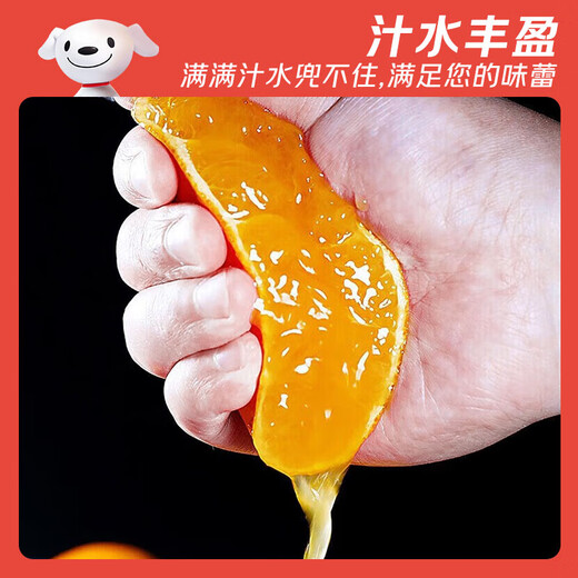 Jingdida Sichuan Ehime No. 38 jelly orange, net weight 5Jin Jin equals 0.5kg, single fruit 200g+, straight from the source