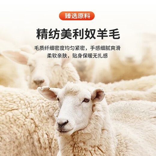 Antonio Worsted Wool & Velvet Lined Simple Light Luxurious Wool Jacket Men's Autumn Casual Knitted Cardigan Jacket