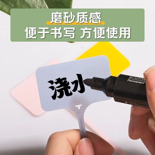可插可挂防水小标签牌花盆多肉记号植物地牌花卉日期标识标签牌 白色100张