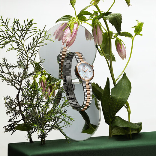 Tissot Liu Yifei's same style Little Beauty series starlight women's watch quartz women's watch fashion watch Christmas gift