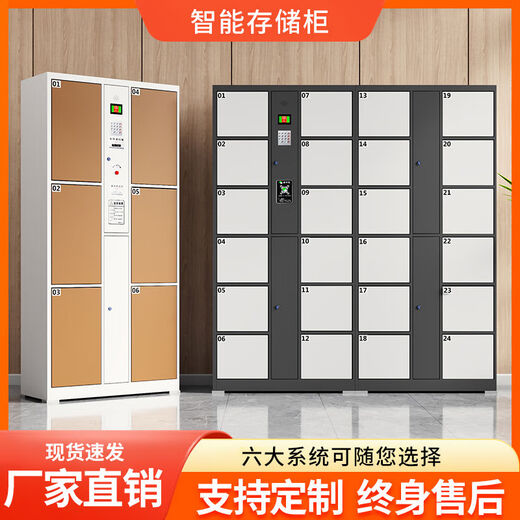 Pupan Supermarket Electronic Locker Shopping Mall Employee Face Recognition Card Swipe Password Storage Locker 36-door Face Recognition Cabinet Available in Multiple Colors