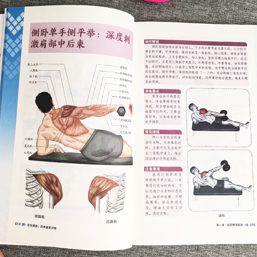 Genuine color atlas, muscle building training illustration, sports anatomy atlas, muscle strength training complete illustration anatomy book, slimming fat loss, fitness muscle kinesiology training illustration, fitness book tutorial collection 5 volumes, muscle building training + fat loss and muscle gain + Pilates + yoga + low fever