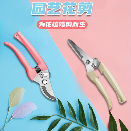 Yanran garden shears, potted plant pruning artifact, floral shears, floral pliers, 1 pair