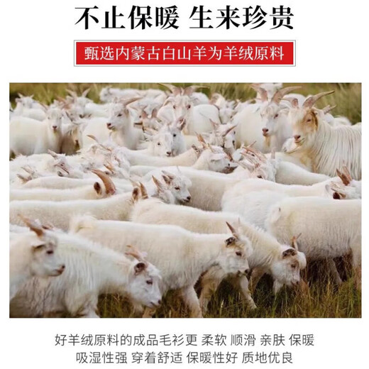 XJSGS international men's high-end brand woolen sweater luxury 100% pure wool autumn and winter knitted sweater men's bottoming shirt high-end night orchid spot speed M recommended 90-120Jin Jin is equal to 0.5 kg