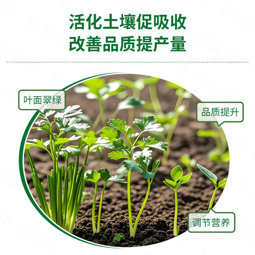 Because Ehrlichia coriander has green leaves and abundant Umbelliferae crops, it is a general nutritional supplement for growing quality and yield-increasing water-soluble fertilizers. 100 bags and 100 barrels of water.