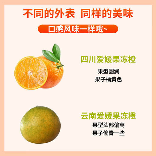 Jingxiansheng Sichuan Ehime No. 38 jelly orange, net weight 4.5-5Jin Jin is equal to 0.5kg, single fruit 170g+, straight from the source
