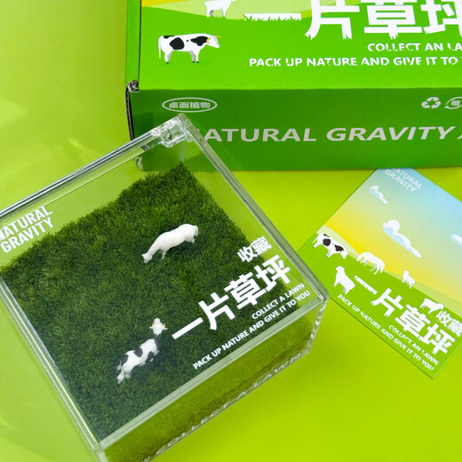 Jingdong green plants, a private lawn, office gift box, moss micro-landscape ornaments, ecological green plants, customized gifts, straight from the source