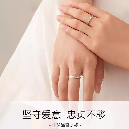 DR Everlasting Oath Platinum Couple Ring PT950 Platinum Pair of Rings Proposal Valentine's Day Birthday Gift for Girlfriend Everlasting Oath-Female Ring