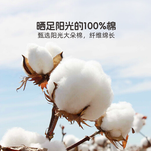 Mercury Home Textiles Quilt Cover Pure Cotton 100% Cotton Infant Class A Antibacterial Quilt Cover Single Bedding Quilt Cover 150x210cm