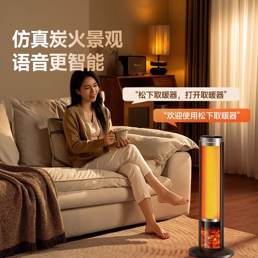 Panasonic flame heater household graphene heater electric heater small sunroom electric heater energy-saving whole house office artifact large area rapid heating-DS-P2067CH