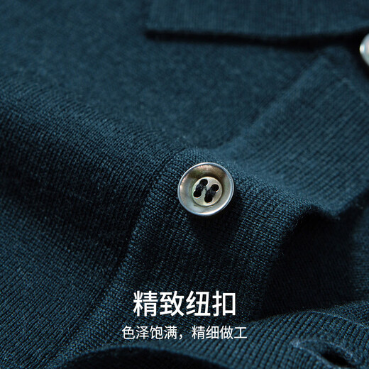 Hodo 100% wool machine washable autumn and winter wool sweater men's lapel sweater long-sleeved bottoming shirt