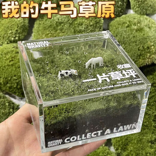 Jingdong green plants, a private lawn, office gift box, moss micro-landscape ornaments, ecological green plants, customized gifts, straight from the source