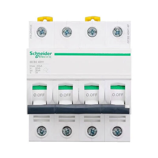 Schneider Wangao ISCB1/2 15/20/25/40/65/80/100/120L surge backup protector iSCB1 25L2 4P