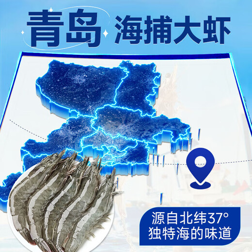 Fishing Travel Notes Qingdao Prawns 3Jin Jin is equal to 0.5kg Clean Shrimp 90-105 Prawns White Shrimp Jiwei Shrimp Fresh Shrimp