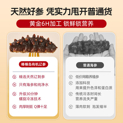 棒棰岛大连有机海参1000g非即食海鲜水产2斤辽刺参孕妇特产送礼礼盒 1000g 礼盒装14-18只【送礼首选】 有机正宗辽参