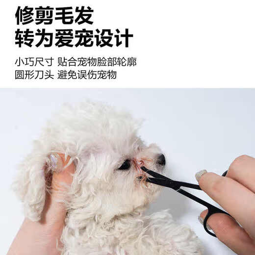 Bichon Yorkshire dog special tear comb Maltese eye worms face comb scissors hair cutting artifact yellow cleansing comb + cleansing scissors