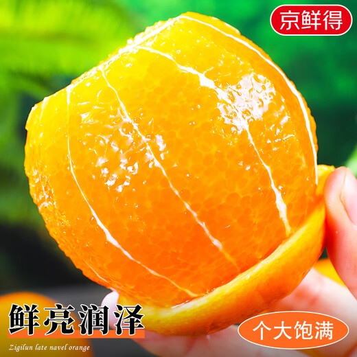 京地达橙子赣南脐橙正宗江西赣州直发 净重20斤单果260g源头直发包邮