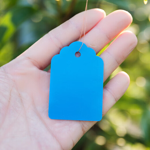 100 Stück Hängeetiketten, Pflanzenschilder, Baumschilder, klassifizierte Farbkarten, Kunststoff, wasserfest, lichtecht, lichtecht P 2,5*3,6 cm blau, 100 Stück