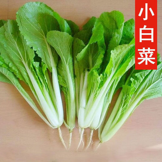 Four-season Shanghai green seeds, small green cabbage, chicken feathers, fast-growing cabbage, rapeseed, heat-, humidity- and cold-resistant, field use, original four-season fast-growing cabbage, about 3600 capsules, 3 packs