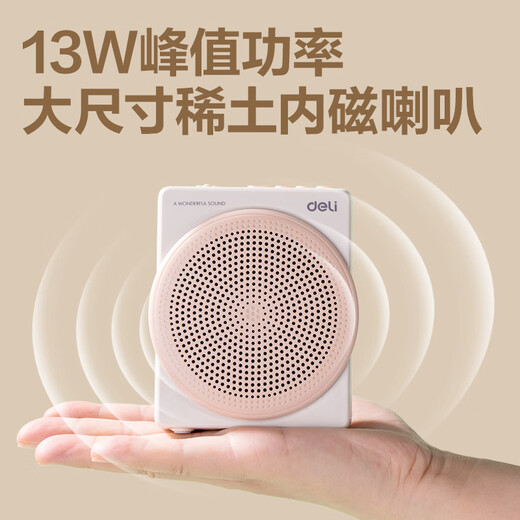 Deli (deli) 13W Wireless Lavalier Bee Loudspeaker Bluetooth Speaker Audio Anti-Howling U Disk Speaker Microphone Guide Outdoor Lecture Upgrade Teacher Birthday Gift