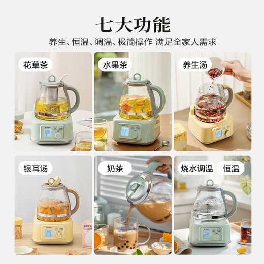 Beiding (Buydeem) health kettle all-glass kettle self-operated multi-functional stew kettle teapot one-piece office household thermostatic kettle electric kettle 1.2L FK571 light fir green