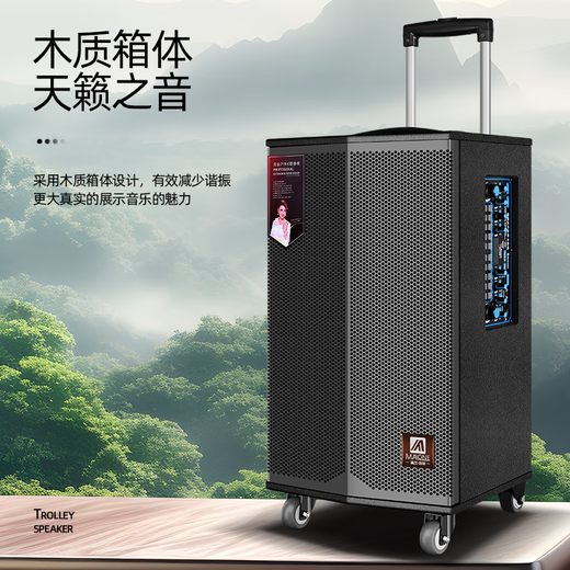 Manlong square dance audio high-power subwoofer wireless microphone Bluetooth high volume with live broadcast professional sound card internal recording mobile performance trolley outdoor karaoke speaker K-415 audio (15-inch bass) dual microphones + gift package