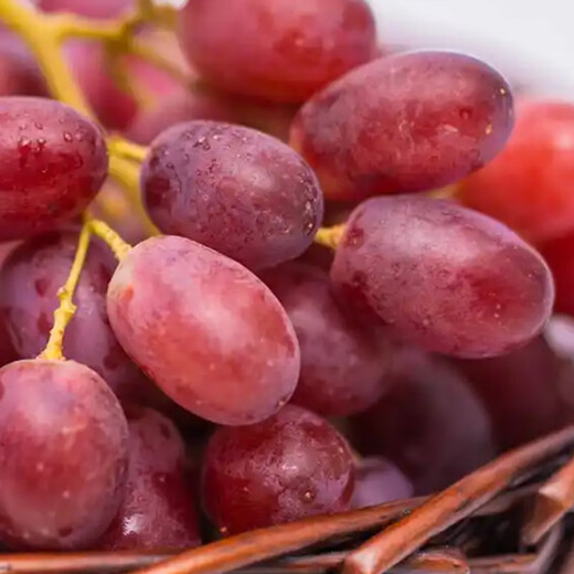 Xinjiang Candy Crispy Bobo Seedless Red Grape Approximately 450g