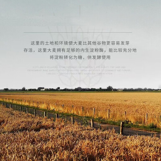 BOLETIGA威士忌洋酒原酒进口调酒口粮经典酒吧whisky酒类40度700ml 700ml*1瓶