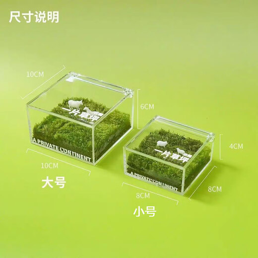 Jingdong green plants, a private lawn, office gift box, moss micro-landscape ornaments, ecological green plants, customized gifts, straight from the source