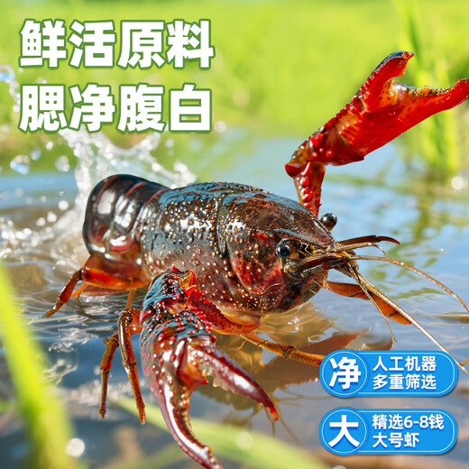 Feifei Xiazhuang Braised Crayfish 700g 6-8 yuan Clean shrimp 450g 25-year-old whole shrimp heated and ready to eat
