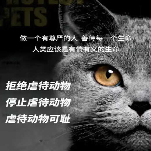 What's Vegan/Nutrition/Health/Kittens/Adult Cats/Pregnant Cats/Lactating Cats Vegan Nutritional Cat Food 1.5kg_Vegetarian Cat Food