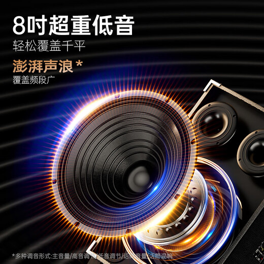 NINTAUS 8-inch square dance speaker outdoor portable Bluetooth speaker high volume high power trolley speaker karaoke professional equipment removable N12-20