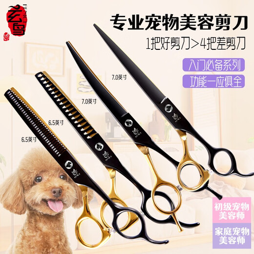 Black Bird Pet Scissors Dog Grooming Shearing Scissors Small Dog Teddy Haircut Straight Scissors Curved Scissors Teeth Scissors Fish Bone Scissors Trimming Upgraded Black Gold (Straight + Curved + Teeth + Fish Bones)