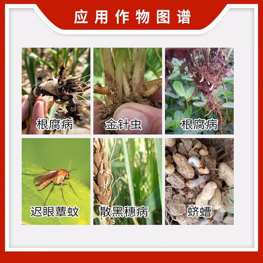 Syngenta Courasid, thiamethoxam, wireworm, smut, garlic and wheat seed dressing agent, seed coating agent, pesticide 30ml*5 bottles