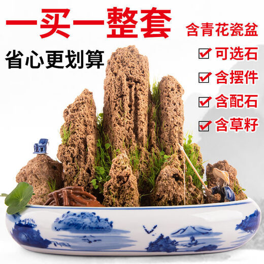 Water-absorbing stone, natural water-absorbing stone, bonsai original stone, water-absorbing stone, rockery stone, flowing water fountain, fish tank stone, landscaping stone, buy stone + pot (free grass seeds with stone) 10-14cm water-absorbing stone