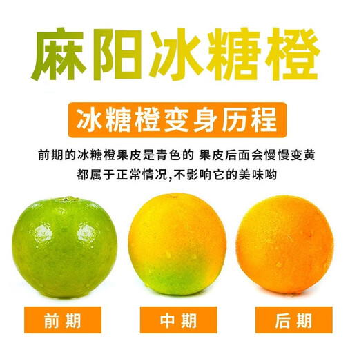 Sweet and courteous authentic Mayang rock sugar orange fresh jelly sweet orange fruit Hunan seasonal hand-peeled oranges whole box of oranges 4.5Jin Jin is equal to 0.5kg Net weight 50-55mm
