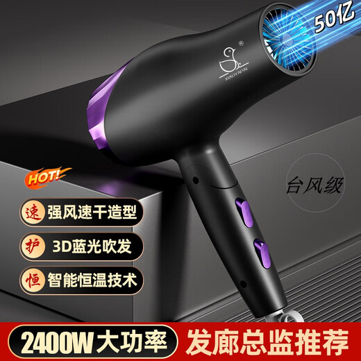 Xiaoya (XIAOYA) 2400W high-power hair salon hair dryer negative ion hair dryer blue light hair care folding hair dryer powerful high-speed large hair dryer King top version Honor Purple + 2000W + free air nozzle + foldable 4.5 billion blue light ion hair care typhoon-level wind movement