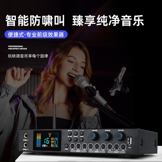 ZUU's new front-end effector professional karaoke home karaoke balanced vocal front karaoke audio simulation advanced singing speaker equipment ktv K160 effector wireless microphone + male to female XLR cable